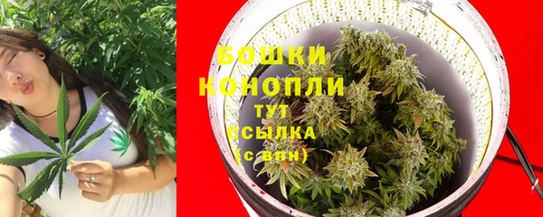 трава Магадан