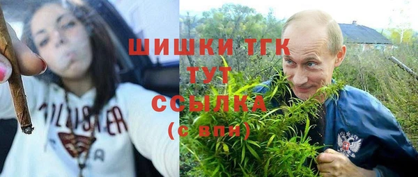 spice Магас