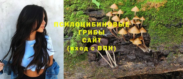 spice Магас