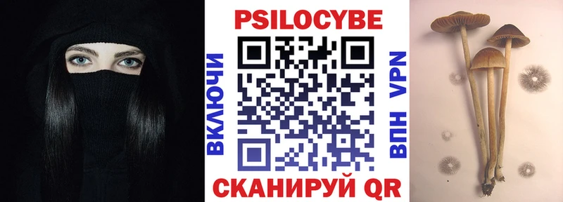 купить цена Гаджиево Галлюциногенные грибы мухоморы